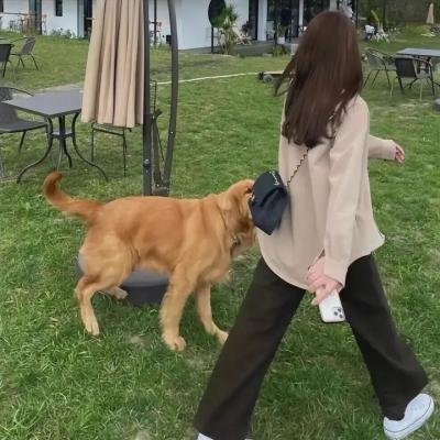 厄尔自助餐厅的女子天团